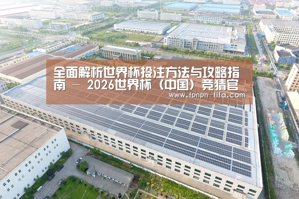 案例展示一