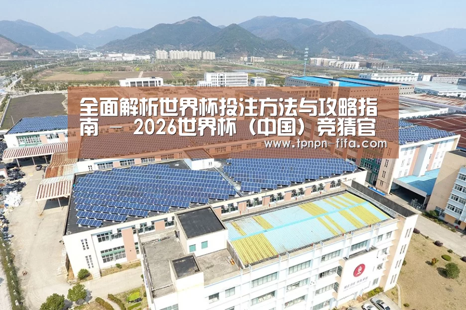 案例展示二