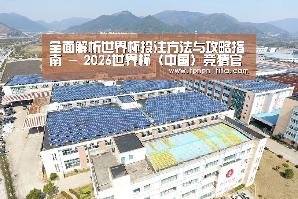 案例展示四