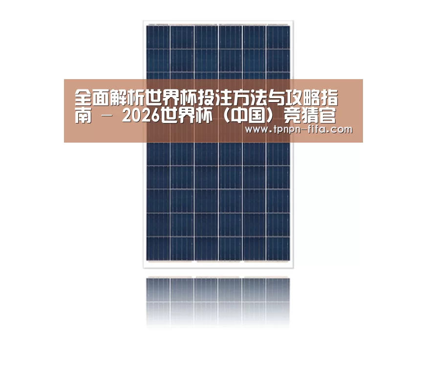 产品名称一