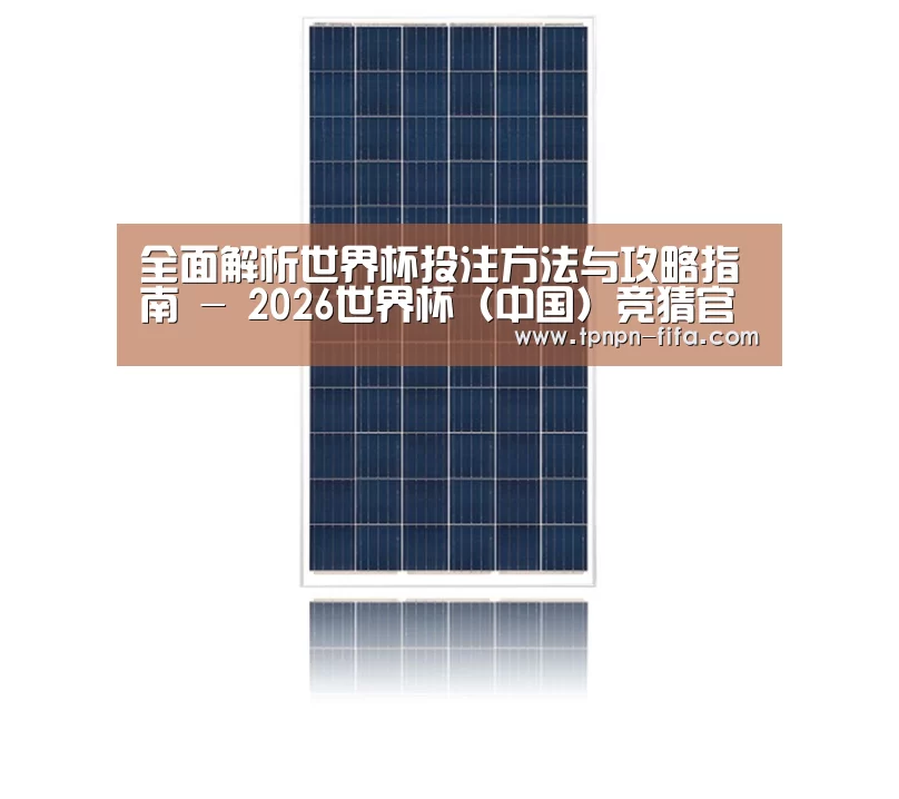 产品名称一