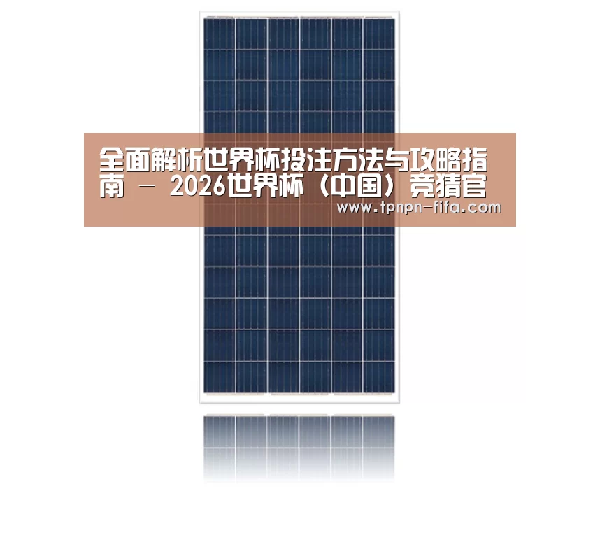 产品名称一