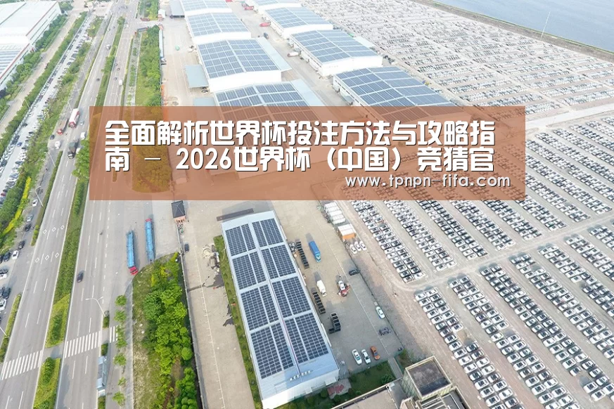 案例展示四