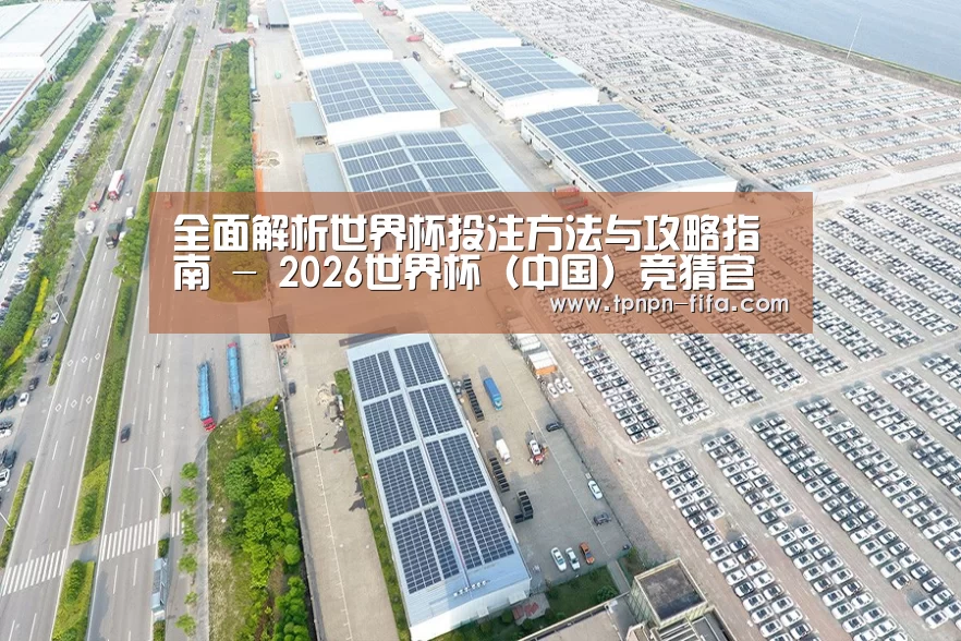 案例展示三
