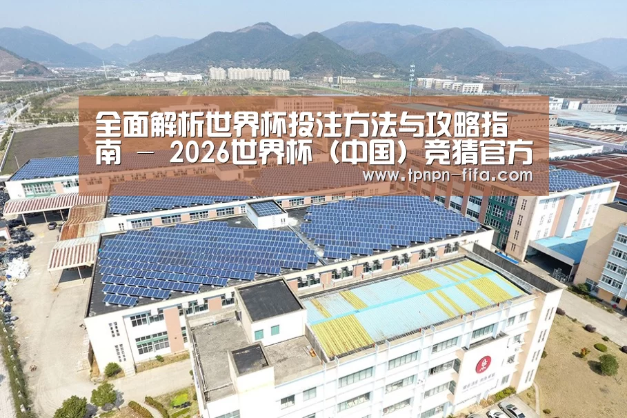 案例展示三
