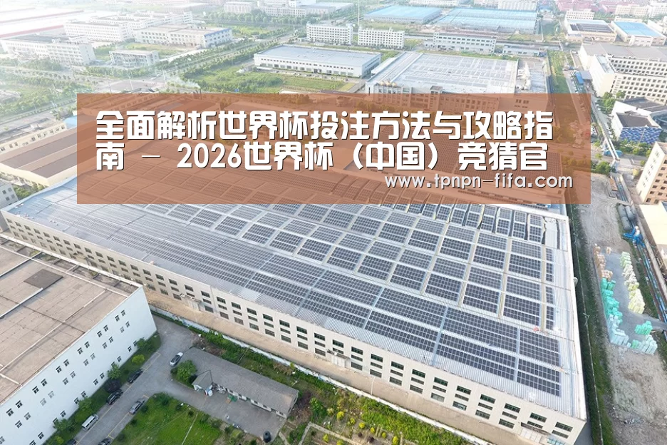 案例展示四