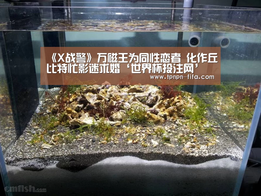 《X战警》万磁王为同性恋者 化作丘比特忙影迷求婚‘世界杯投注网’(图2) 世界杯下注
