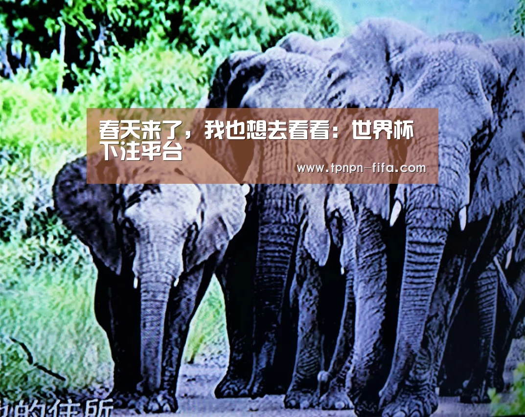 春天来了,我也想去看看:世界杯下注平台(图3) 世界杯下注平台