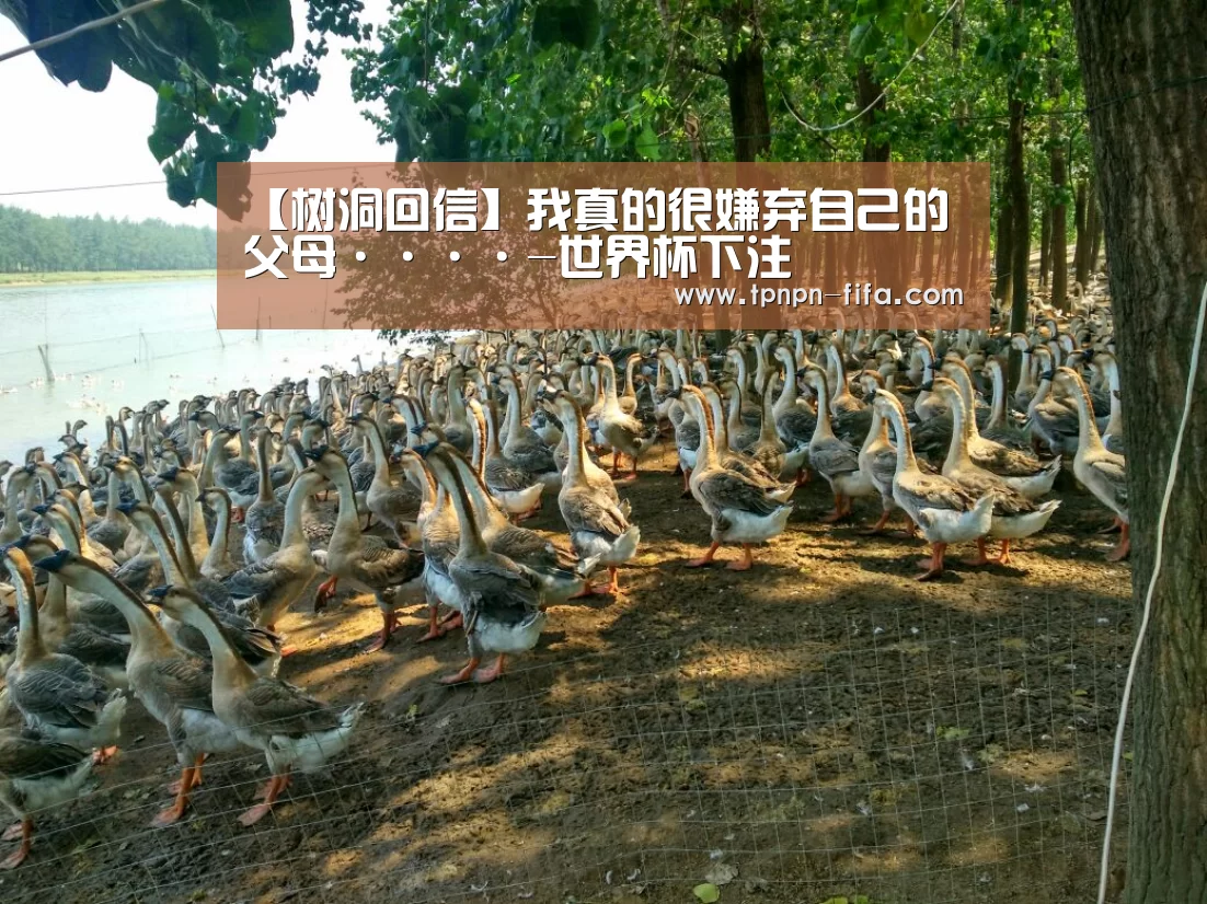 【树洞回信】我真的很嫌弃自己的父母····-世界杯下注(图4) 世界杯下注