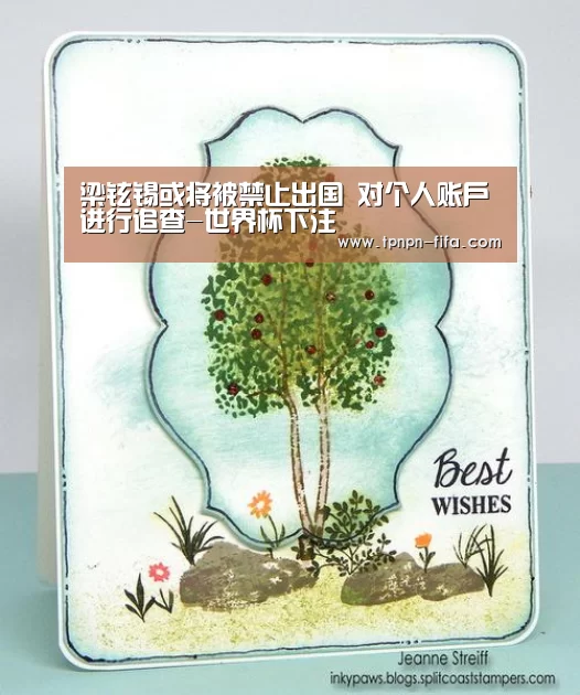 梁铉锡或将被禁止出国 对个人账户进行追查-世界杯下注(图2) 世界杯下注平台