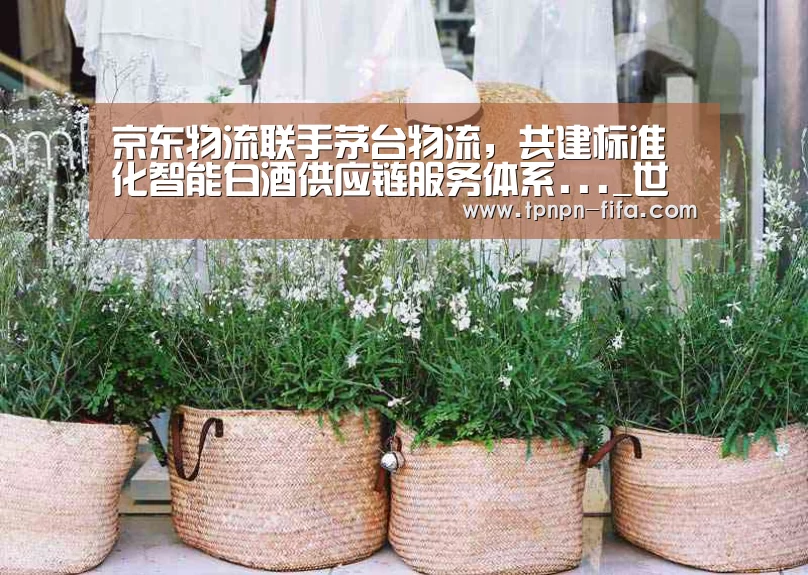 世界杯下注平台
