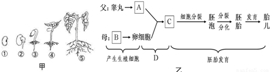 韩媒曝YG为隐瞒TOP吸毒而安排韩瑞熙出国“世界杯投注网”(图3) 世界杯下注