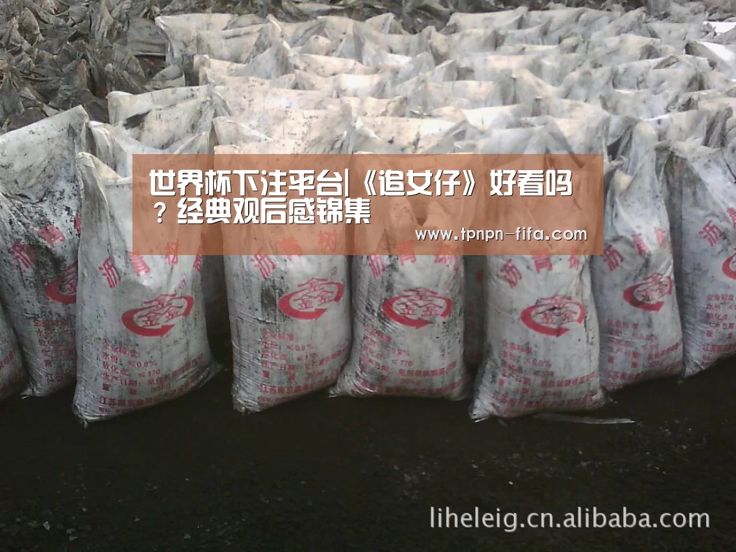 世界杯下注平台|《追女仔》好看吗?经典观后感锦集(图2) 世界杯下注