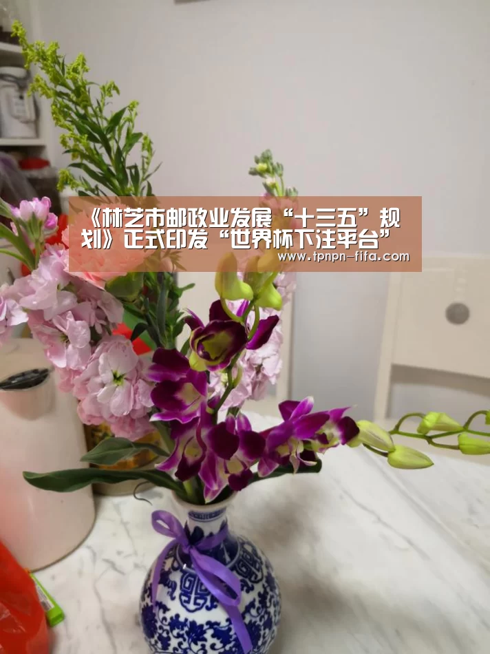 世界杯下注