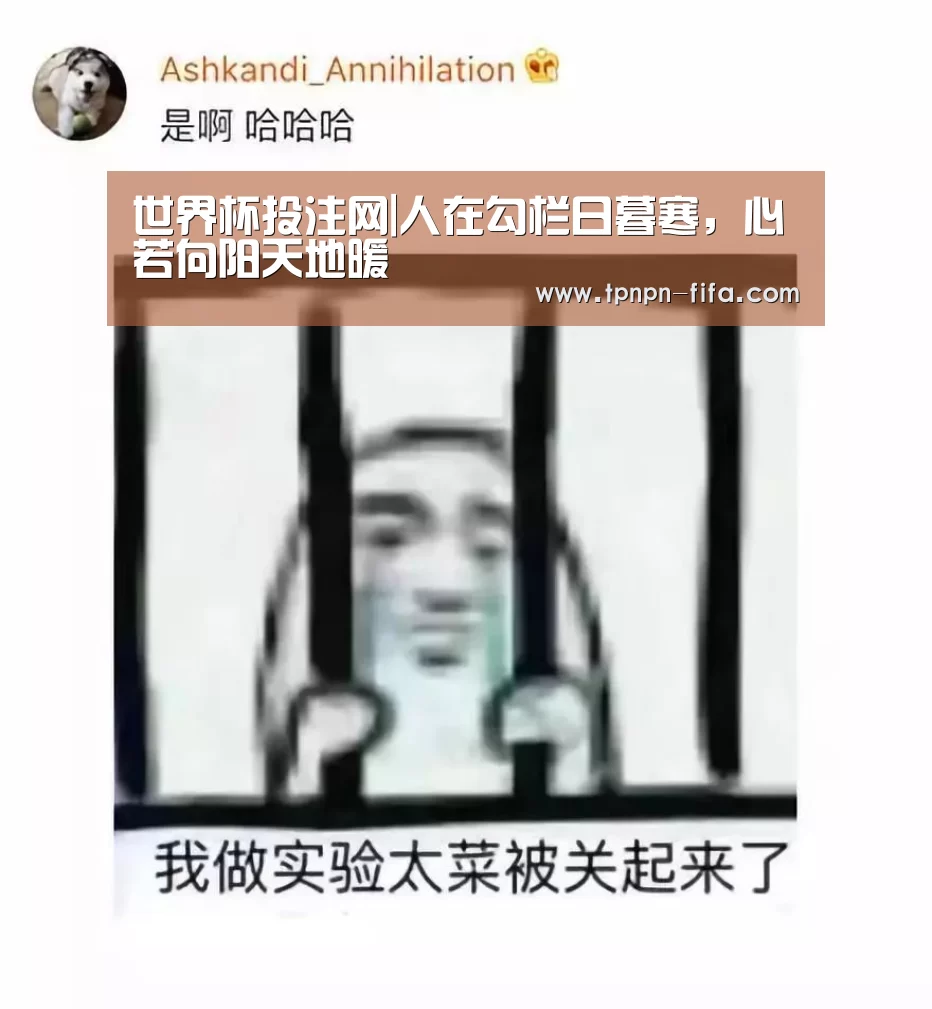 世界杯投注网|人在勾栏日暮寒,心若向阳天地暖(图1) 世界杯下注平台