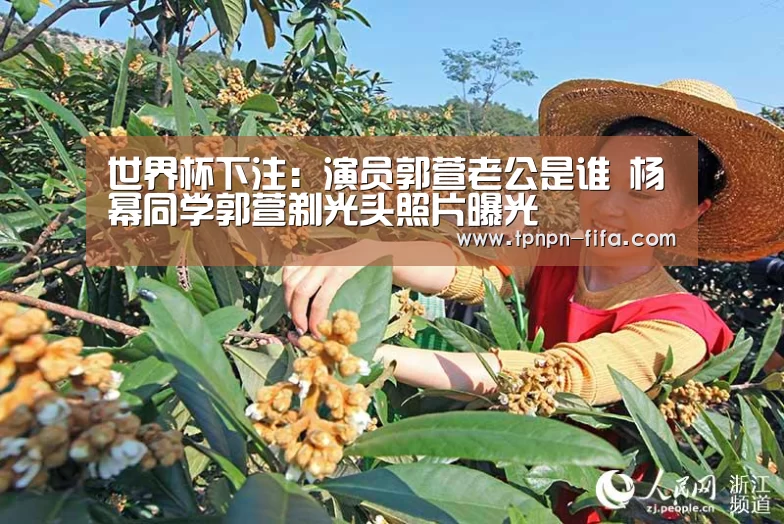 世界杯下注:演员郭萱老公是谁 杨幂同学郭萱剃光头照片曝光(图2) 世界杯投注网