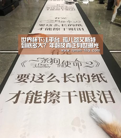 世界杯下注平台